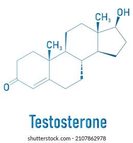 Testosterone Male Sex Hormone Androgen Molecule Stock Vector Royalty