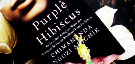 L Hibiscus Pourpre De Chimamanda Ngozi Adichie Africultures