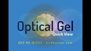 Bird Barrier Optical Gel 75 2M Optical Gel Deterrent J Racenstein Co