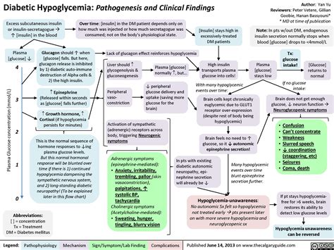 Diabetic Hypoglycemia Pathogenesis And Clinical Findings Calgary Guide
