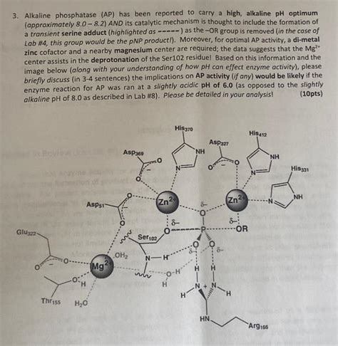 Solved 3 Alkaline Phosphatase AP Has Been Reported To Chegg