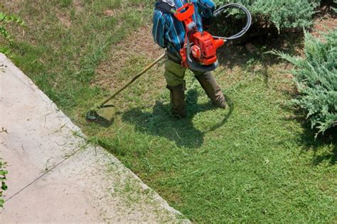 Discovering the Best Shade Tolerant Grass for Your Lawn