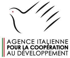 Un E Programme Officer Technique Secteur Priv Agence Italienne Pour