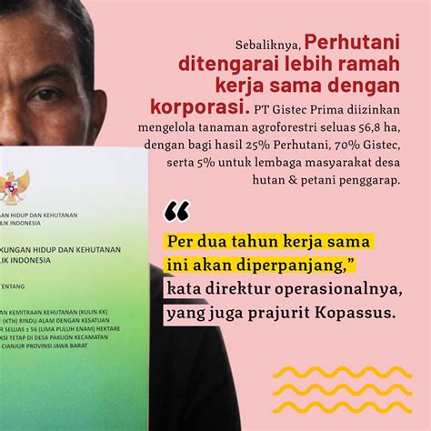 Project Multatuli On Twitter Proses Kerja Sama Perhutani Dan Pt