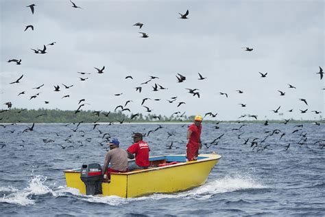 Overfishing Kiribati Ocean Oceans Destructive Fishing Christian