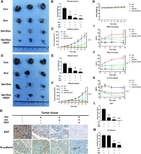 Anti Tumor Effects And Systemic Immune Responses Induced By The Local Download Scientific