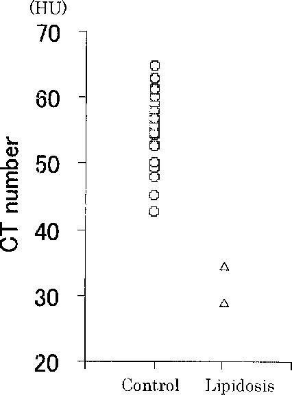 Figure 1 From Clinical Application Of Computed Tomography For The Diagnosis Of Feline Hepatic