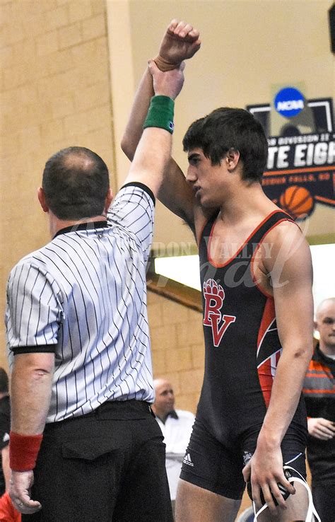 Wrestling Regions - Feb. 16, 2019 - Gallery 2 | Brandon Valley Journal