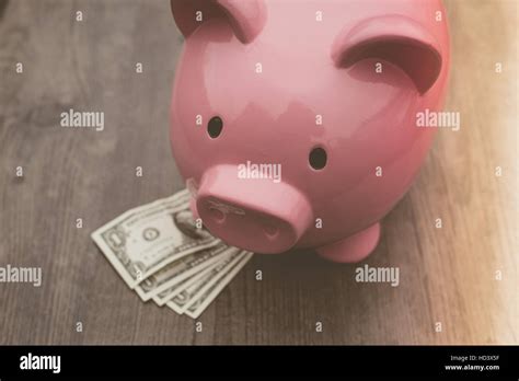 Piggy Bank Money Savings Concept Of Growth Stock Photo Alamy