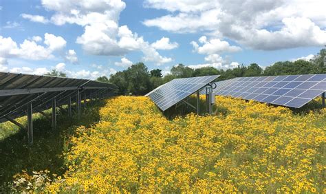 Us Government Allocates 8 Million To Support Agrivoltaics Pv Magazine International