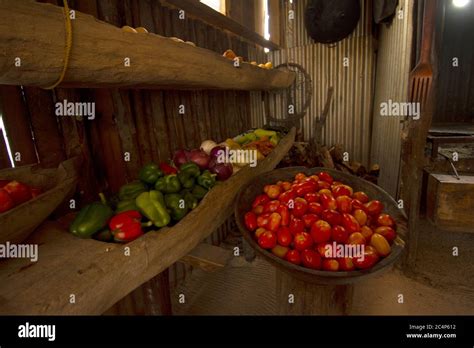 Belize Basket Hi Res Stock Photography And Images Alamy