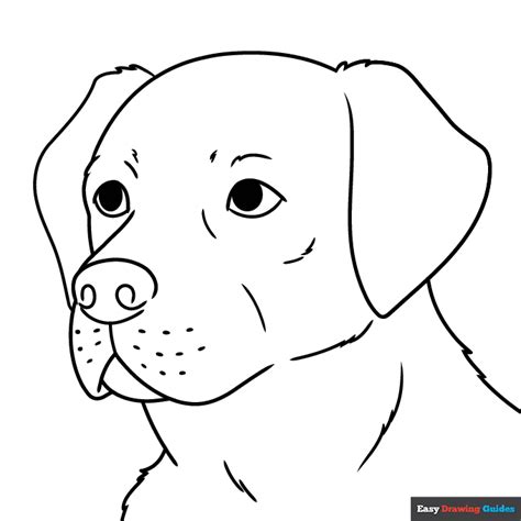 Free Printable Dog Coloring Pages For Kids