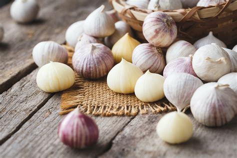 manfaat bawang putih tunggal berdasarkan penelitian