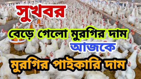 ১১ অক্টোবর ২০২২ 🐓 আজকের ব্রয়লার ও সোনালী কক মুরগির পাইকারি দাম। Ajker