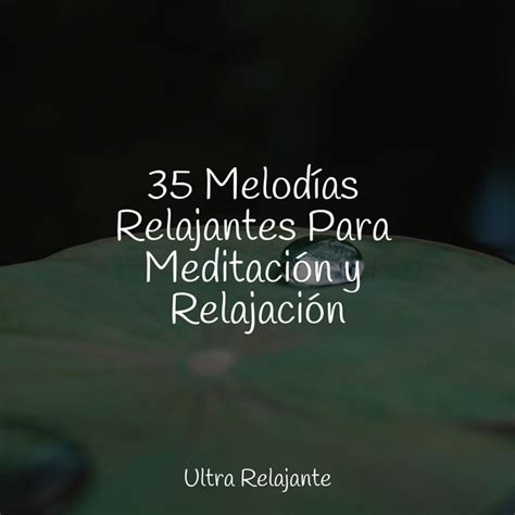 Melod As Relajantes Para Meditaci N Y Relajaci N Album By Musica