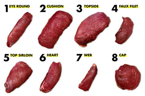 Venison Cuts Of Meat Diagram