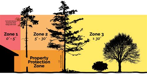 How To Maintain Your Defensible Space Disastersafety Org