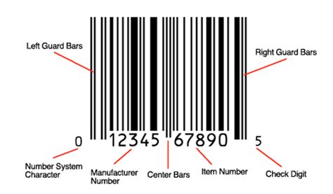 Guide To Barcodes Everything You Need To Know