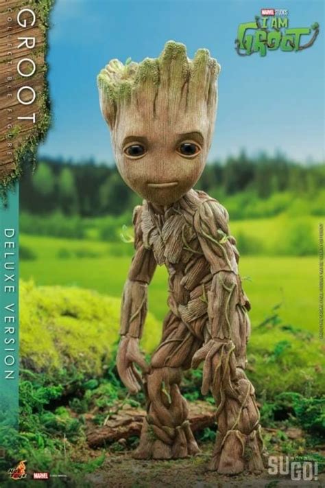 Hot Toys Marvel I Am Groot Tms089 Groot Deluxe Life Size Figure Sugo Toys Australian Premium