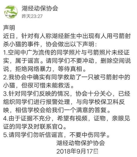 大一新生殺流浪貓事件始末詳情曝光令人心寒 湖北經濟學院聲明全文 每日頭條