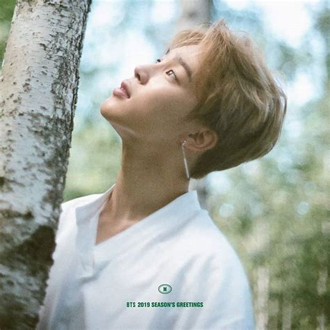 Jimin Bts Seasons Greeting 2019 Jimin Bts Season Greeting Park Jimin