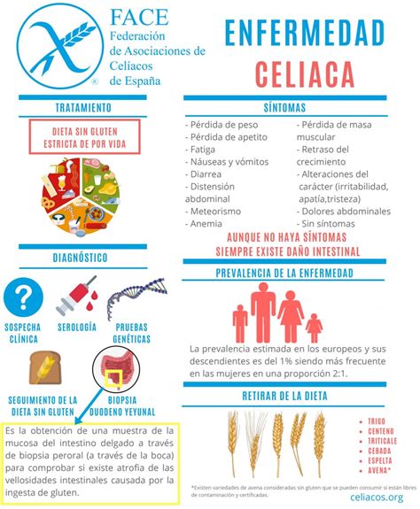 Qu Es La Enfermedad Celiaca Cel Acos Navarra