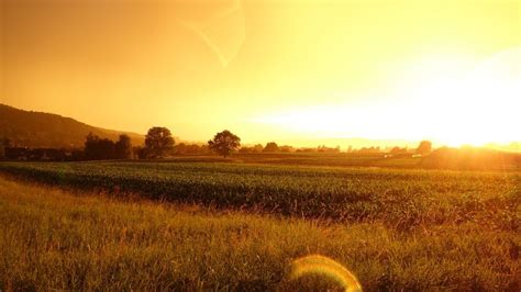 Clima Coldiretti Il Il Terzo Anno Pi Caldo Di Sempre Daily