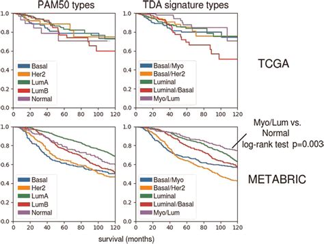 Kaplan Meier Survival Analysis Of The Subgroups Of The Tcga And