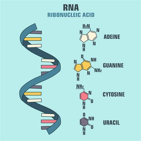 Rna Podcast Chemistry World