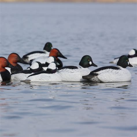 Avery GHG Over-Size Diver Duck Decoys (6-Pack) - Duck Decoys - Decoys ...