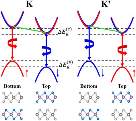 Schematic Illustrations Of Valley Polarization In The K Valleys For Download Scientific Diagram