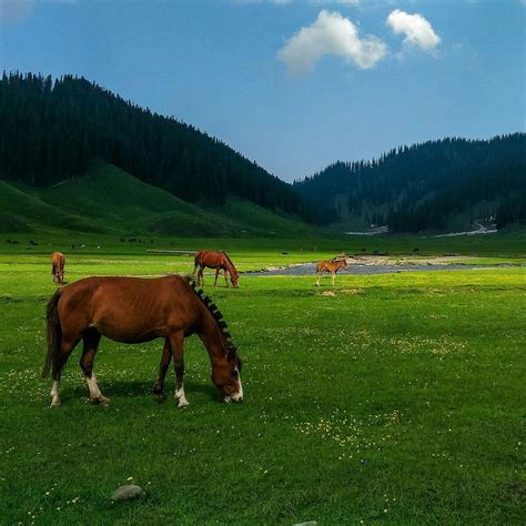 Events And Festivals In India A Ministry Of Tourism Initiative