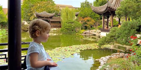 Visit Lan Su Chinese Garden - PDX Parent