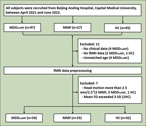 Functional Connectivity Of The Default Mode Network Subsystems In Patients With Major Depressive