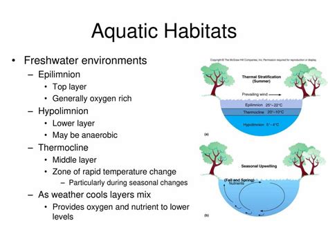 Microbial Ecology - PowerPoint Slides - LearnPick India