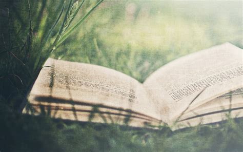 Обои на рабочий стол книга - фото и картинки abrakadabra.fun