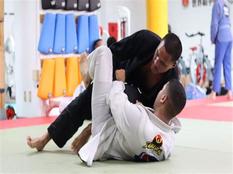 Artes Marciais O Que S O Tipos E Exemplos Significados