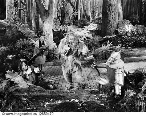 Wizard Of Oz Wizard Of Oz 1939 Ray Bolger As The Scarecrow Judy Garland As Dorothy Bert Lahr