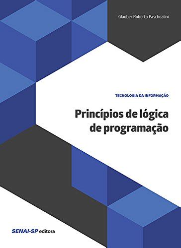 Princípios de lógica de programação Tecnologia da Informação eBook