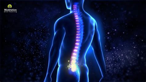 Heal Your Spine Naturally L Coccyx Pain Relief Frequency Hz L