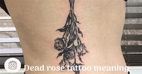 Dead Rose Tattoo Meaning: Everything You Need To Know 2023