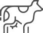 Bovine Artificial Vagina Imv Technology Global