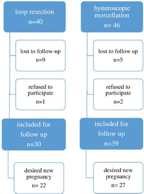 Reproductive And Obstetric Outcomes After Hysteroscopic Removal Of