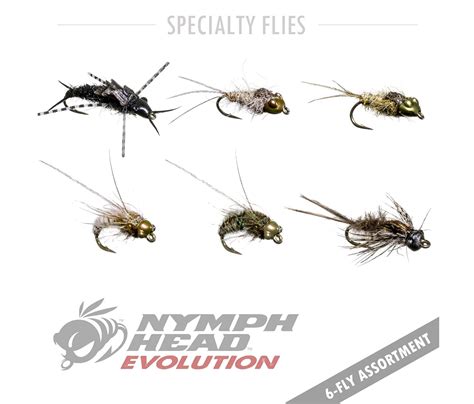 Nymph Head Evolution 6 Pack The Catch And The Hatch