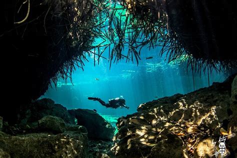 Discover Scuba Diving In Casa Cenote From Cancun Triphobo