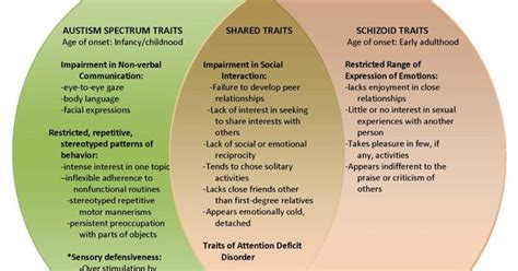 What Is The Difference Between Schizoid Personality Disorder And Autism