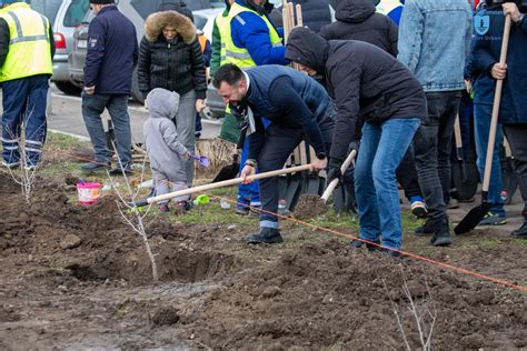 Plant Ri De Arbori Cu Ocazia Zilei Minorit Ilor Na Ionale Confort Urban