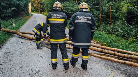 Feuerwehreinsatz Bei Steinegg Baum Prallt Auf Stra E Mopedlenkerin