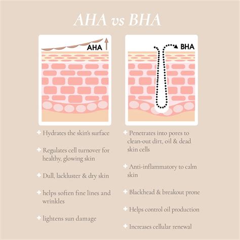 Understanding AHA BHA Skin Calming Toxin Free Skincare Pretty