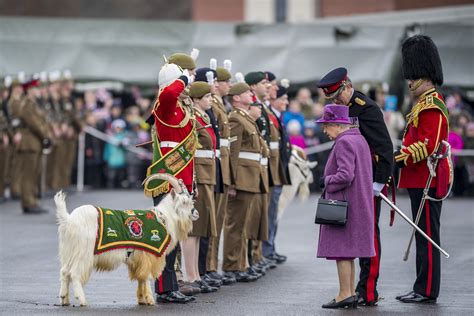 Welsh Units Reflect On Their Proud History With Queen Elizabeth Ii And